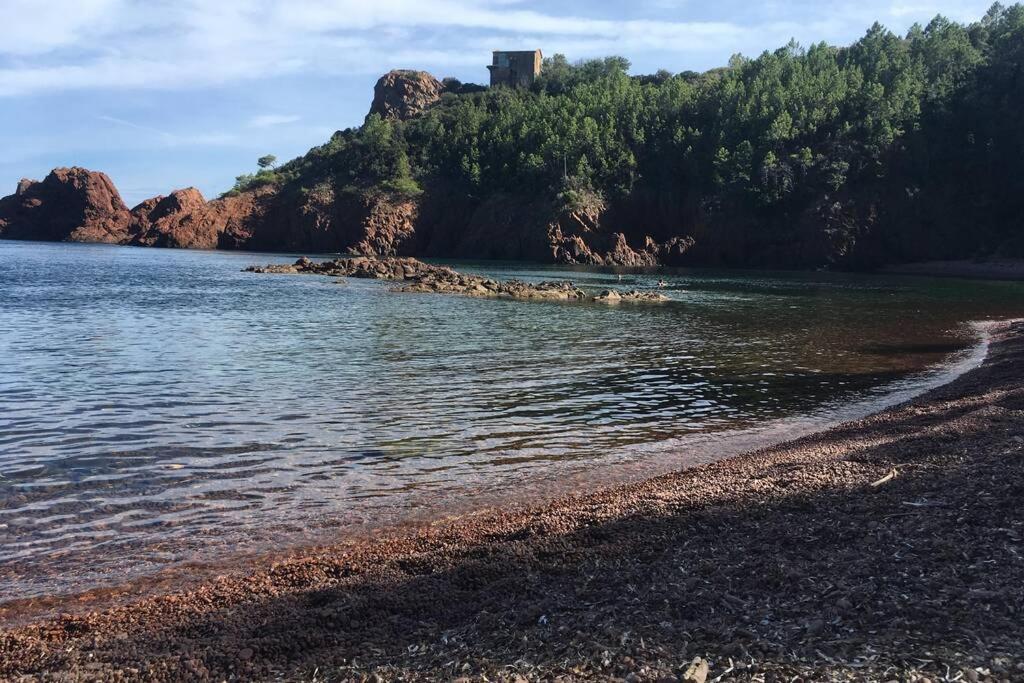 "Les Alizes" Cote Piscine Proche Bord De Mer Сен-Рафаель Екстер'єр фото