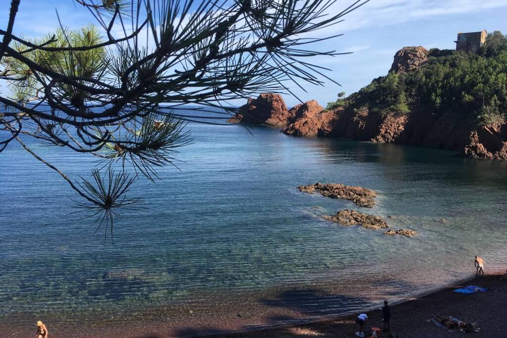 "Les Alizes" Cote Piscine Proche Bord De Mer Сен-Рафаель Екстер'єр фото