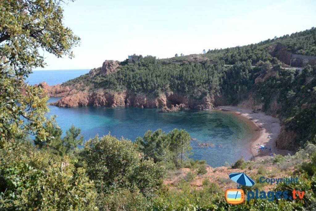 "Les Alizes" Cote Piscine Proche Bord De Mer Сен-Рафаель Екстер'єр фото